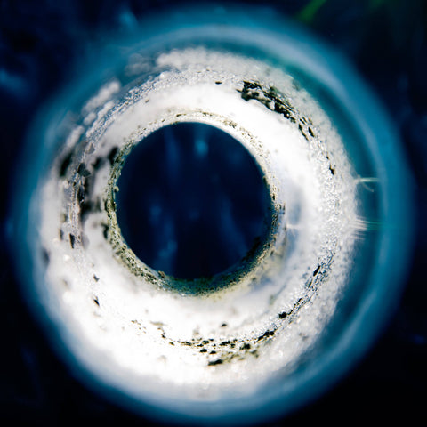 Bacterial and Fungal Growth