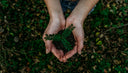 earth and soil
